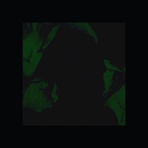 nunca mais um indivíduo