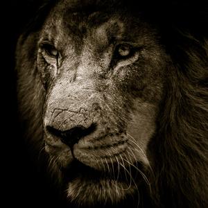 Civilizations (Schumann Resonance)