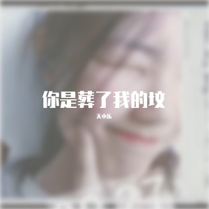 你是葬了我的坟