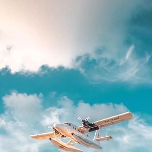 模糊记忆里清晰的针