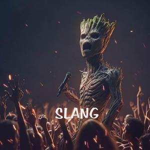 Slang