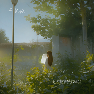回不去的时光(新版）