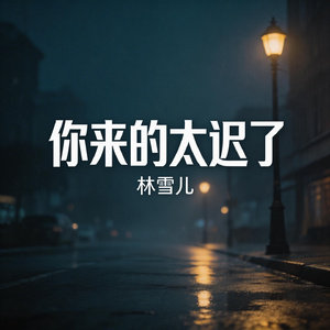 你来的太迟了