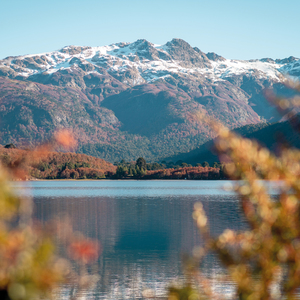 Moquehue