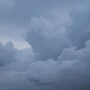 Tiếng Vòi Hoa Sen