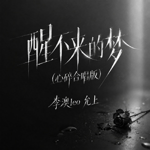 醒不来的梦(心碎合唱版)
