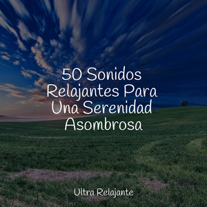 Hojas Revoloteando Hacia Abajo