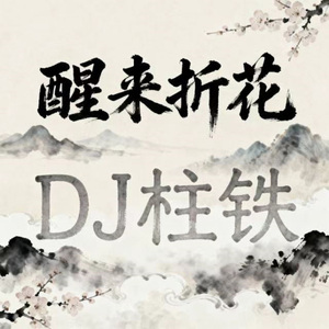 醒来折花 (DJ版)