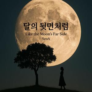 달의 뒷면처럼 (Like the Moon's Far Side)