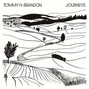 Landscapes from a Train