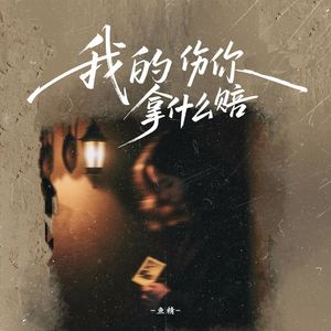 我的伤你拿什么赔