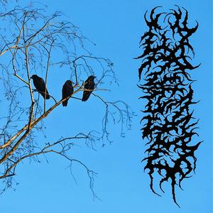 Il tempo si condensa e mi perdo