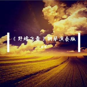 《野蜂飞舞》钢琴演奏版