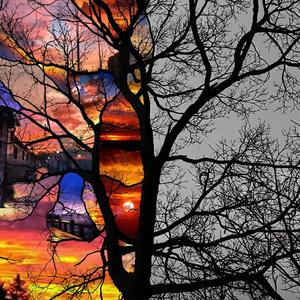 今生无缘来生再聚