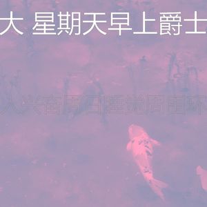 一尘不染轻松的周日印象数