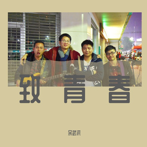 不朽青春(致青春)