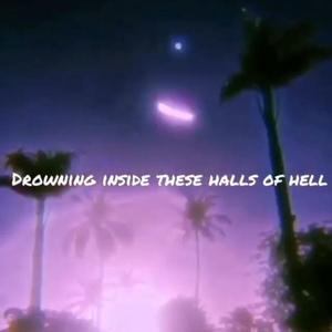 [FREE]和 风 轰 炸 机