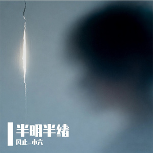 裂缝里的光-风止_