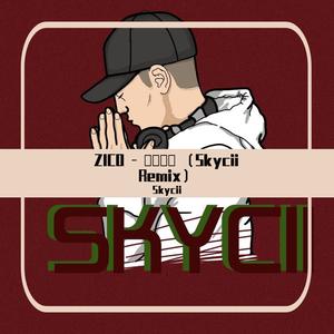 Zico-Zico - Any Song (Skycii Remix)（Skycii remix）