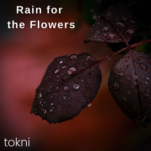 Rain for the Flowers (Radio Edit)