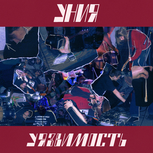 морской конёк