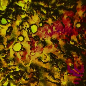 Destruction Of A Brain