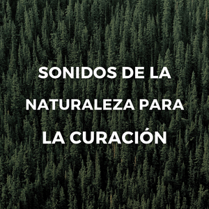 Recuerdo Abrasador