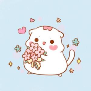 鸽子（cover徐秉龙）