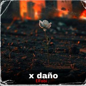 X Daño