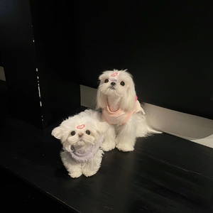 酷狗在循环播放.chen