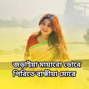 জড়াইয়া মায়ারো ডোরে পিরিতে বান্ধীয়া মোরে