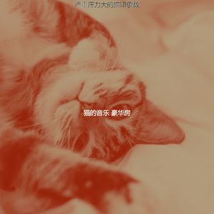 有趣可爱的猫情怀