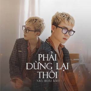 Phải Dừng Lại Thôi (EDM Remix)
