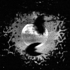 Together (feat. arrivals)