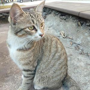 我一定会爱上你