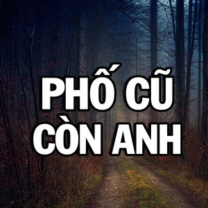 Người Lạ Thoáng Qua (Lofi Beat)