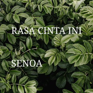 Rasa Cinta Ini