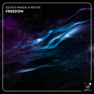 Freedom (Extended Mix)