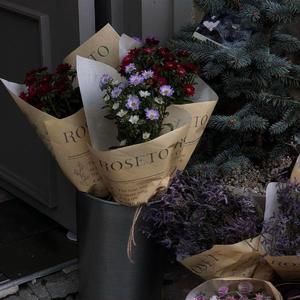 哪里都是你（降调）