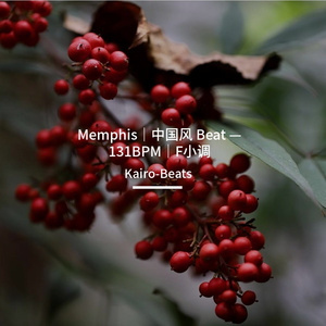 Memphis｜中国风 Beat — 131BPM｜F小调