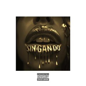 SIN GAN DO (Slow Down)