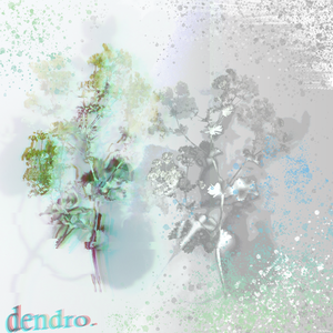 dendro.