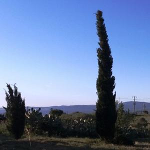 Prateria