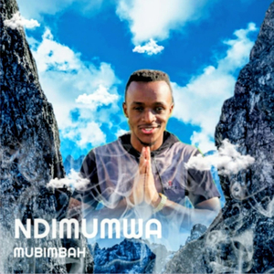 Ndimumwa