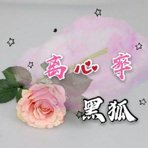 离心率为零的爱情