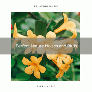 Live Today, Reach Zen Nature Music for Total Dreams pt. 2