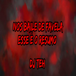 Nos Baile de Favela Esse É O Resumo