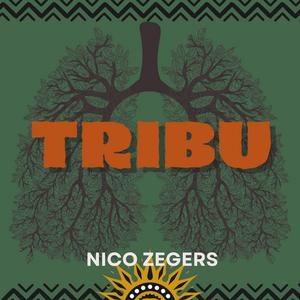 Tribu