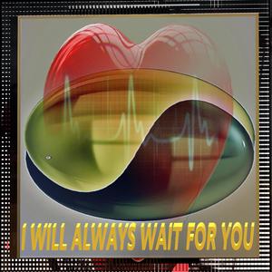 I will always wait for you. If I don't see you in this life, I see you in the next.