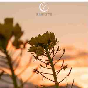 什刹海 (吉他曲)